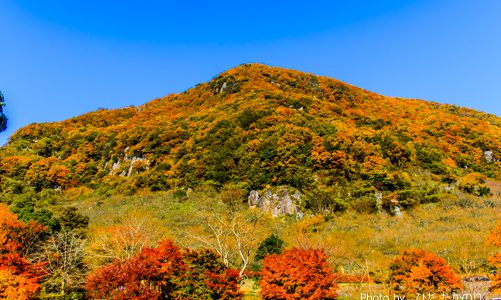 梅だけじゃない！秋の絶景が幕山で楽しめる♪