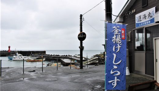 湘南しらす最西端！湯河原の獲れたて生しらす