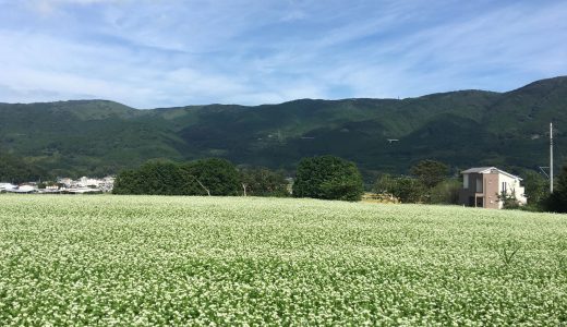 丹那の大地の恵みと味わい！本物の贅沢蕎麦