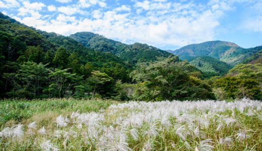 梅だけじゃない！秋の絶景が幕山で楽しめる！～その②　２０１８年秋前半編～