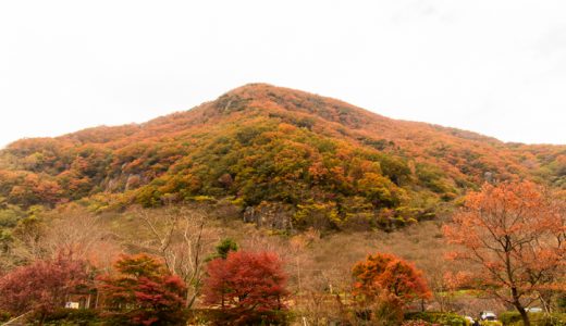 梅だけじゃない！秋の絶景が幕山で楽しめる！～その③　２０１８年秋後半編～