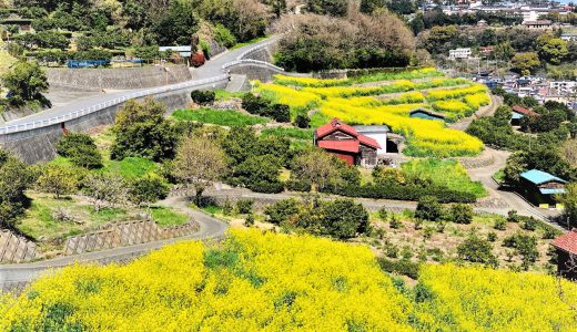 湯河原温泉の黄金街道、こどもの頃に見たどこか懐かしい風景